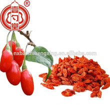 Baya de Goji de Ningxia superior Salud Roja (Gou Qi) fructus lycii